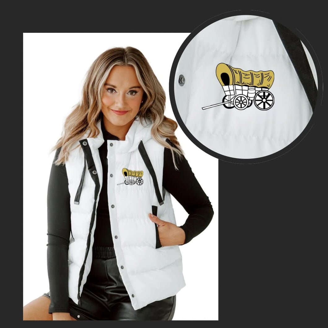 Custom Puffer Vest 🤍