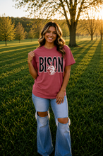 Load image into Gallery viewer, CUSTOM JUMBO MASCOT TEE